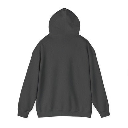 Multi Color Unisex Heavy Blend™ Hooded Sweatshirt