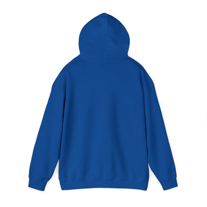 Multi Color Unisex Heavy Blend™ Hooded Sweatshirt